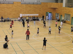P3221442.JPGのサムネール画像
